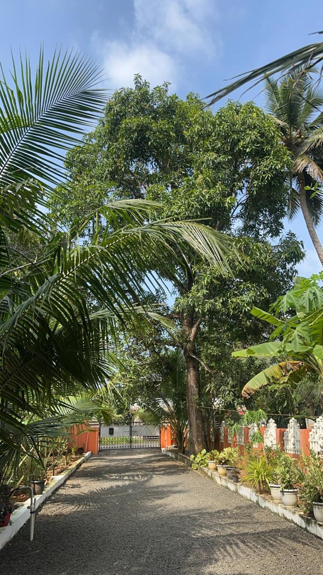 Apartmán Prabhalayam Kottayam Exteriér fotografie