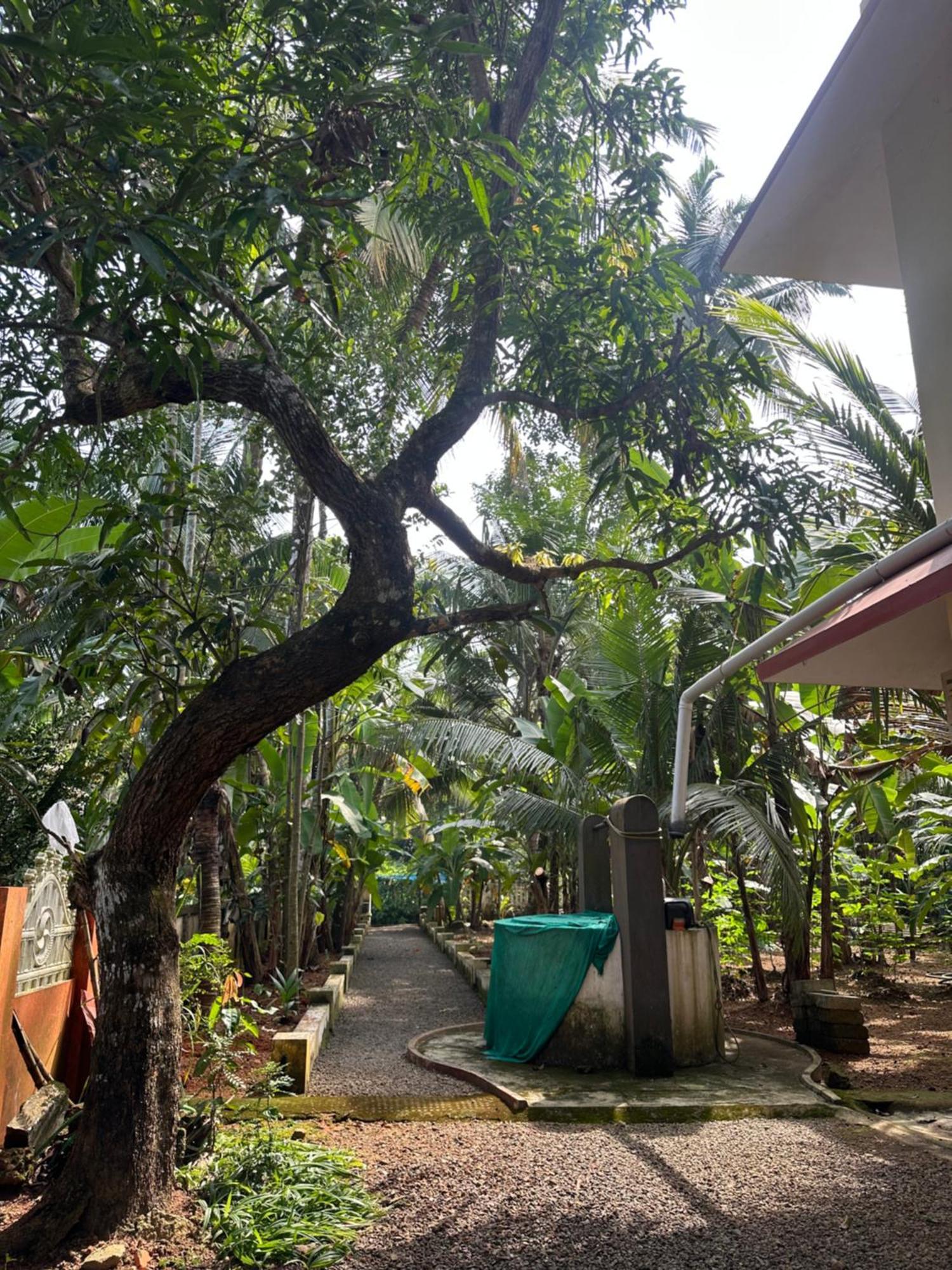 Apartmán Prabhalayam Kottayam Exteriér fotografie